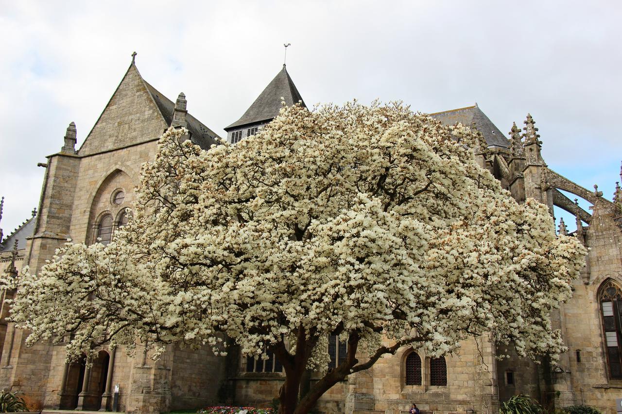 La Tocade Del Arte - Dinan Bed & Breakfast Lanvallay Eksteriør bilde